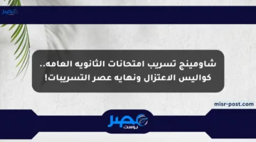 شاومينج تسريب امتحانات الثانوية العامة.. كواليس الاعتزال ونهاية عصر التسريبات!